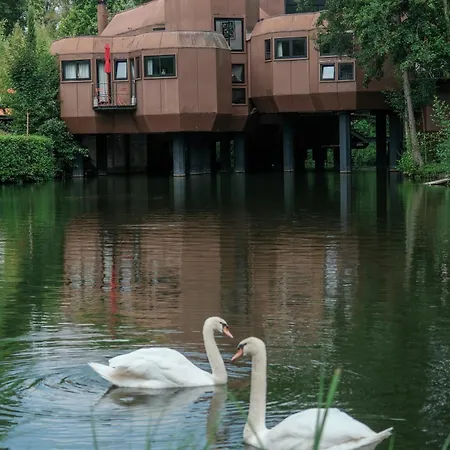 Utopia Homestay *